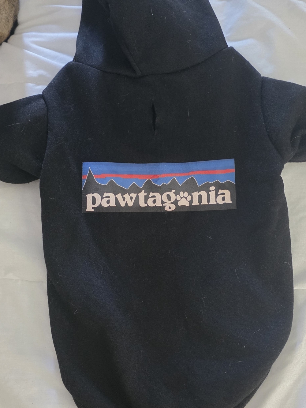 Pawtagonia Black Dog Hoodie with Mountain Logo